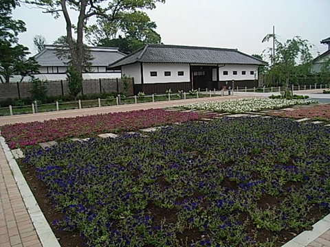 08061403.jpg