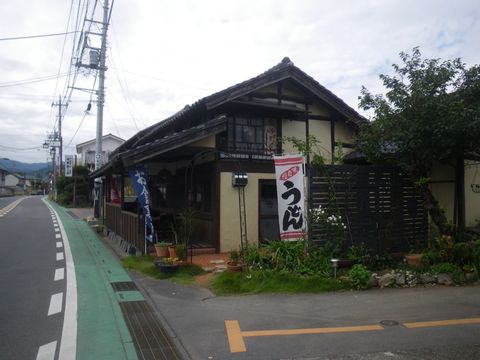 しいの木02.jpg