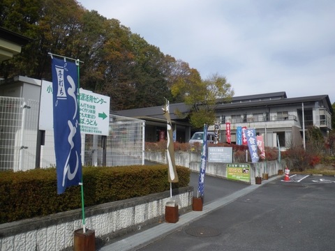 IMGP0001.jpg