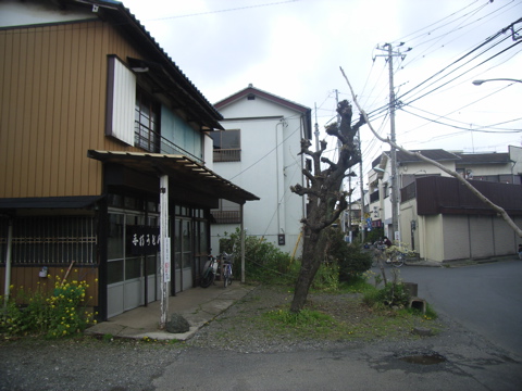 07040904.jpg