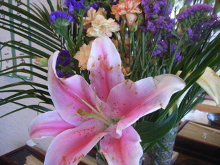 07050703.jpg
