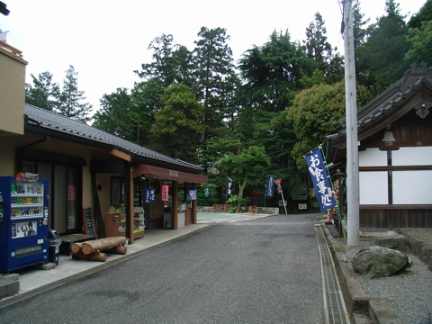 08053104.jpg