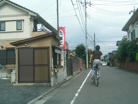 08063003.jpg
