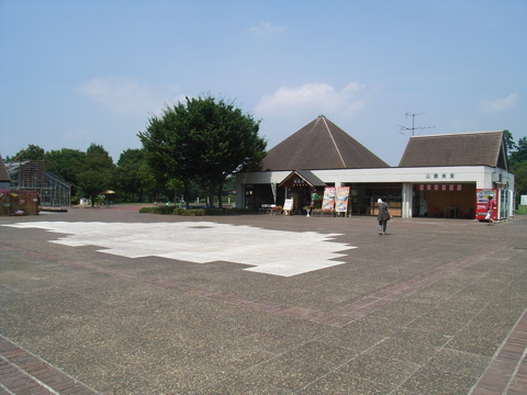 08081405.jpg