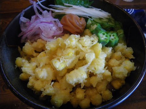 09062302.jpg