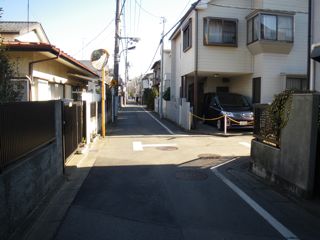 10011504.jpg