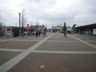10030403.jpg