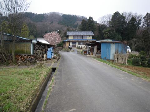 10032004.jpg