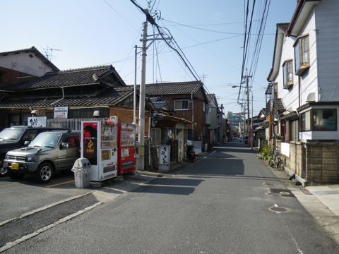 10040204.jpg