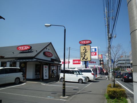 10041403.jpg