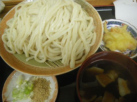 10041902.jpg