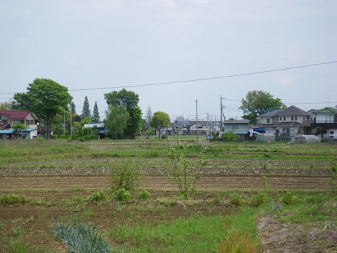 10051203.jpg