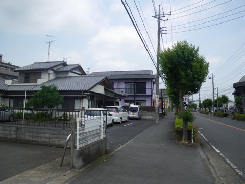 10061103.jpg