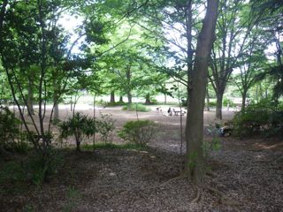 10062403.jpg