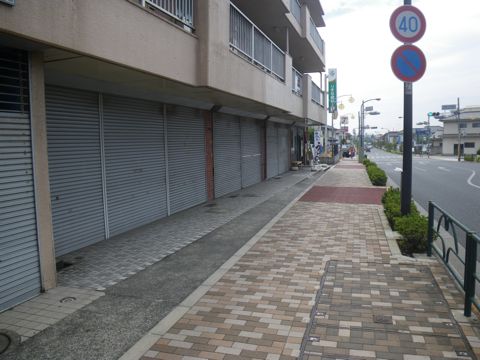 10091803.jpg