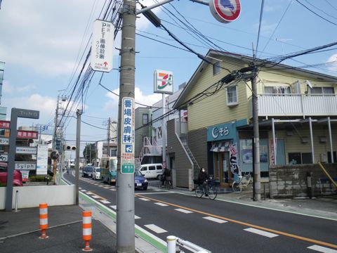 11031403.jpg