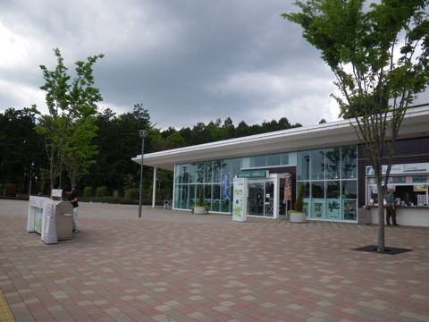 11042803.jpg