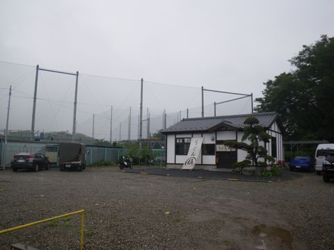 11051803.jpg