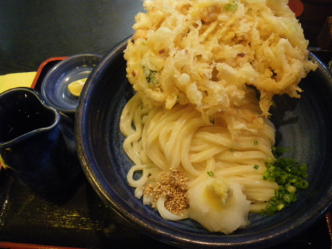 12012802.jpg
