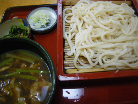 12062502.jpg