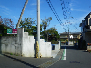 12110905.jpg
