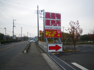 12113004.jpg