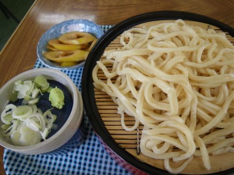 15062502.jpg