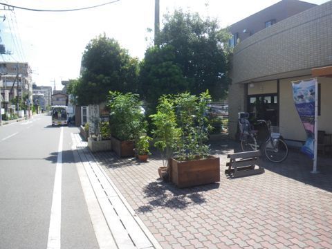 きび02.jpg