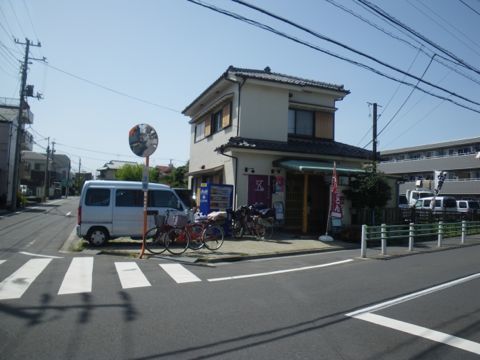 五葵02.jpg