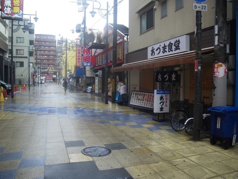 IMGP0003.jpg