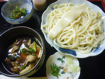 IMGP0004.jpg