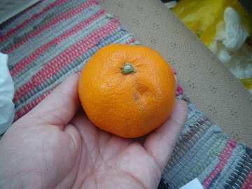 IMGP0008.jpg