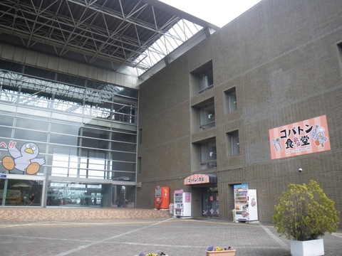 IMGP0018.jpg