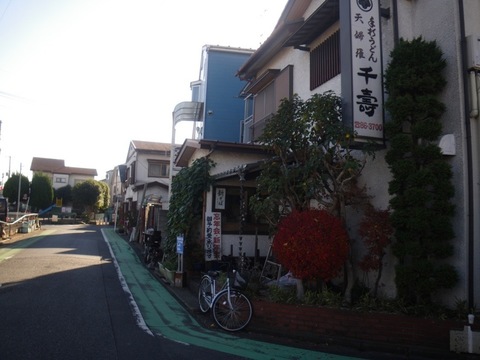 IMGP0019.jpg