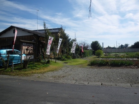IMGP0025.jpg